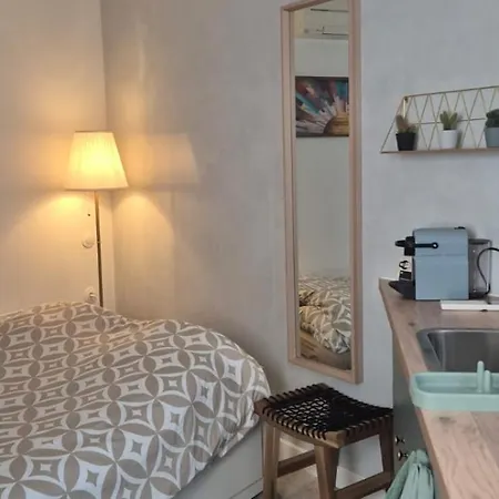 Le Petit Blagnacais * בלנאק